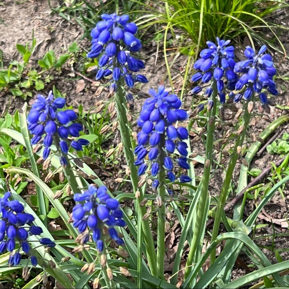 PLEASE, LIKE, FOLLOW & SHARE, SHARE, SHARE! THANK YOU!❤️❤️ - Picture 12 of 16